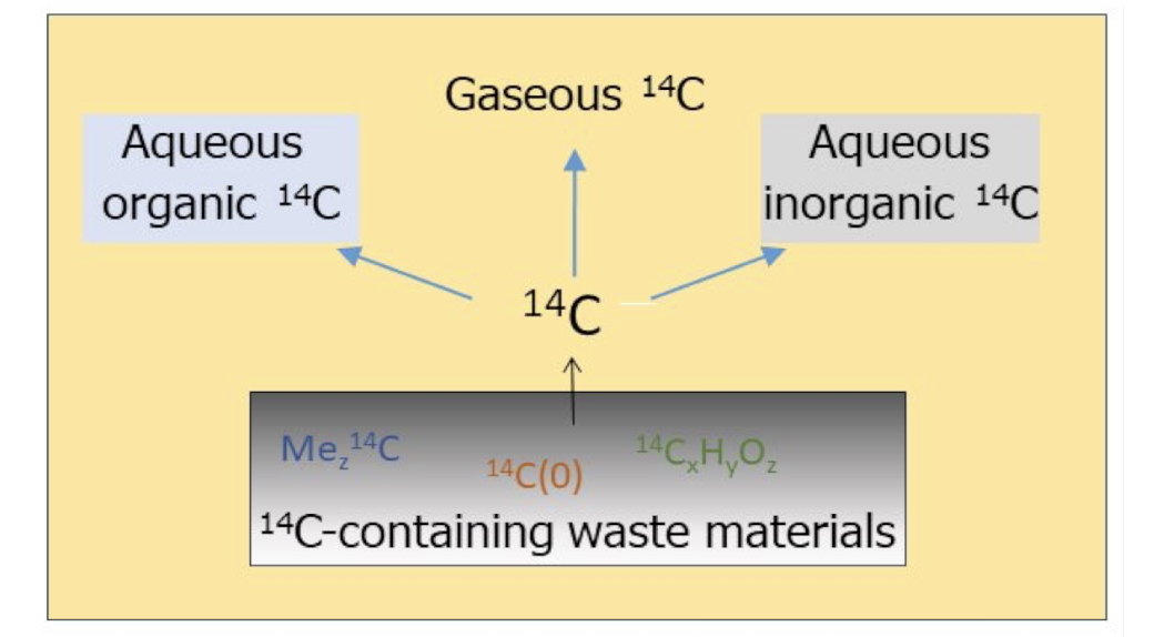 Carbon-14 sources, speciation and release from radioactive waste in a deep geological repository